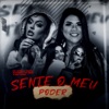 Sente O Meu Poder (feat. Mc Mari, DJ Moana, Mc India & Mc Thata) - Single