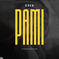 PAMI - Single - Efer