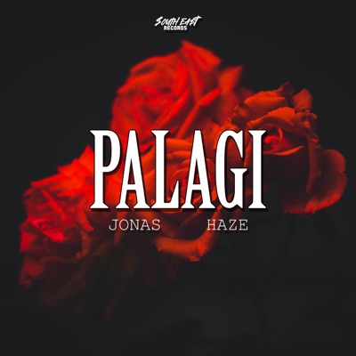 Palagi (feat. Jonas & Haze Stunna) - Single