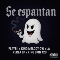 Se Espantan (feat. FLAYBII, KingMelodyOg & La perla LP) - Single - King lion 420