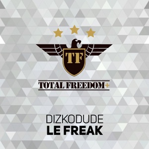 Le Freak - Single