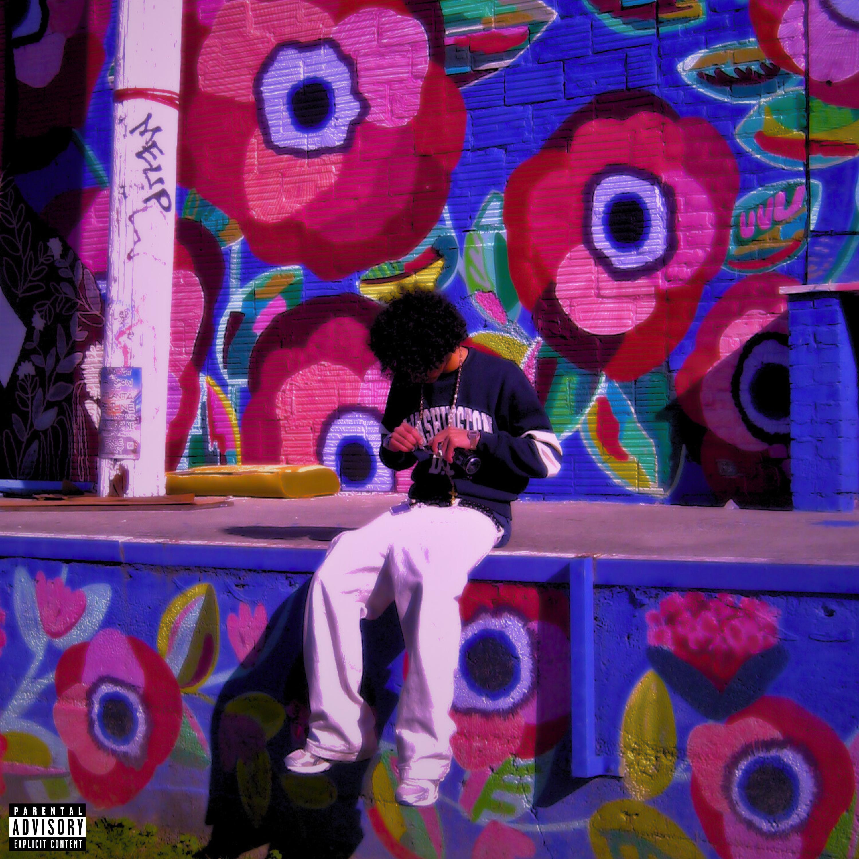 DC - 6 - Lion Accents