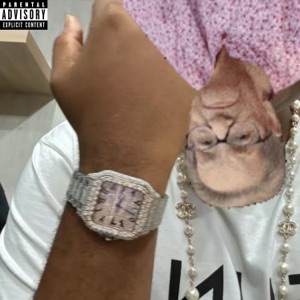 RLLYBADTRICKINHABIT - Single