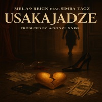 Usakajaidze (feat. Simba Tagz) - Single - Mela9 Reign