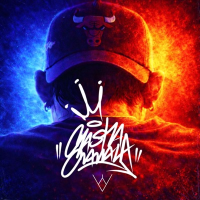 Crónicas de luna y asfalto