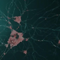 INTELLIGENCE - Single - Heavymelo