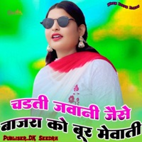 चढ़ती जवानी जैसे बाजरा को बूर मेवाती - Single - Wasim Akram Alwar