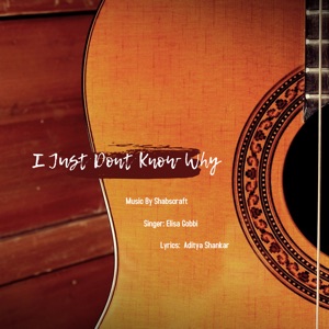 I Just Dont Know Why (feat. Elisa Gobbi)
