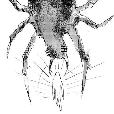 ragnatele (feat. brughi) - Single