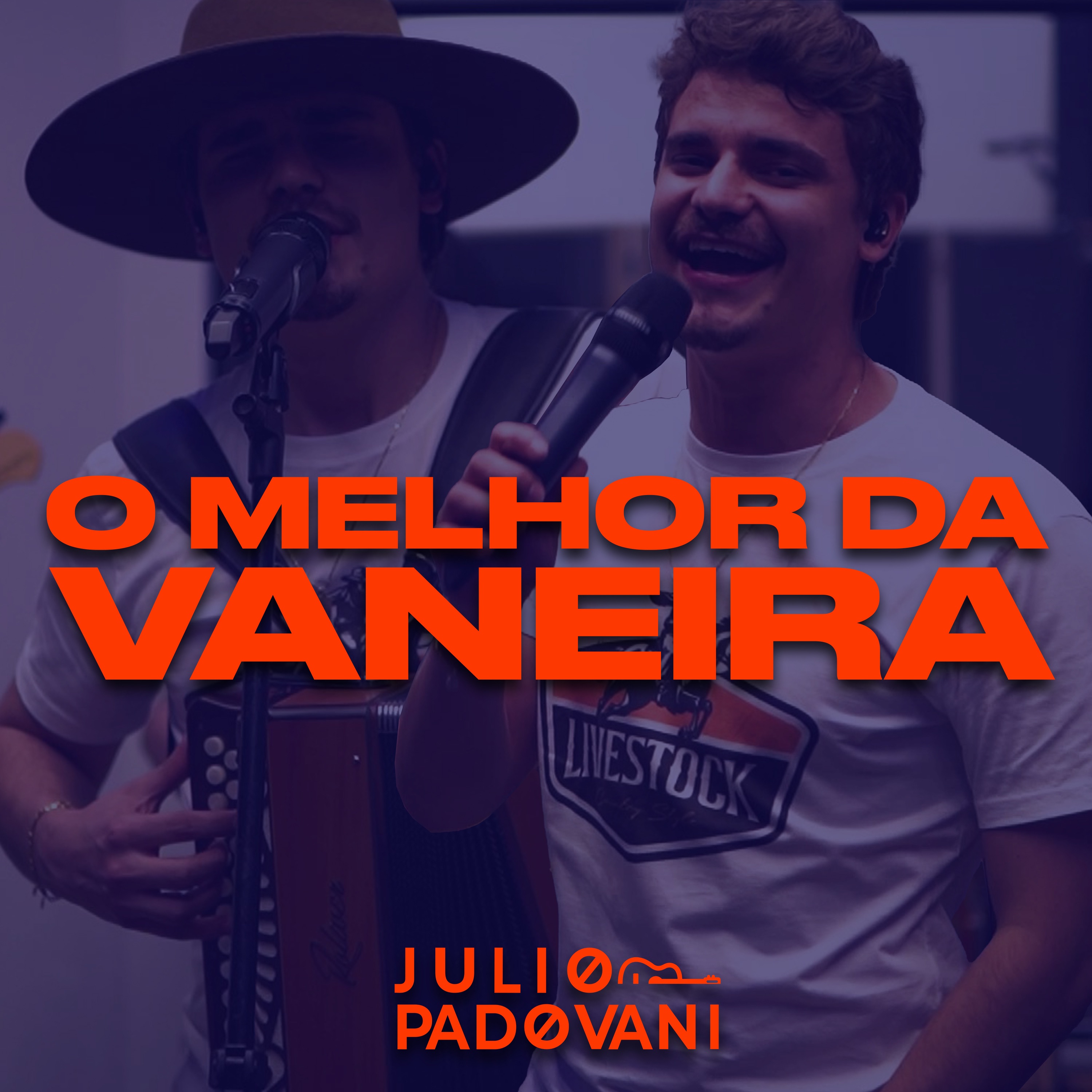 O Melhor da Vaneira (2024 Promocional) - EP