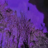 VVildernęss - HOLYVEXY