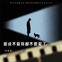 爱或不爱我都不爱了 - Single - 何雨溪