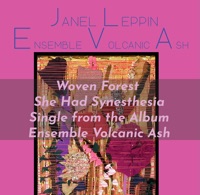 Woven Forest - She Had Synesthesia (feat. Luke Stewart, Anthony Pirog & Brian Settles) - Single - Janel Leppin