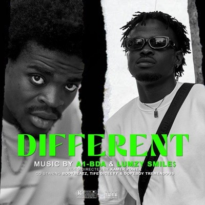 DIFFERENT (feat. Lumzy Smiles) - Single