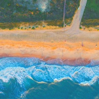 Breathless (feat. wanderd) - Single - Ric.Indigo