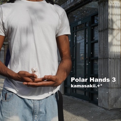 Polar Hands 3 - Single