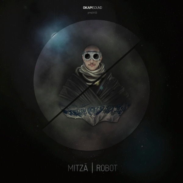 Robot (Remasterizat)