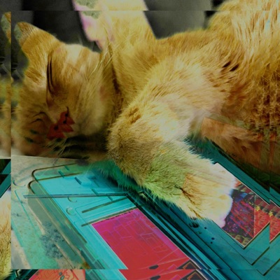 My Cats Are Like My Pokemon, Vol. 1