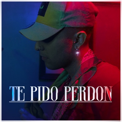 Te Pido Perdón - Single
