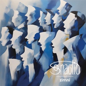 Zimní