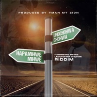 Dzemu Tsemu (feat. Ricky Fire) - Single - Tman Mount Zion