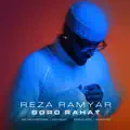 Boro Rahat