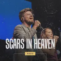 Scars in heaven — BBSO