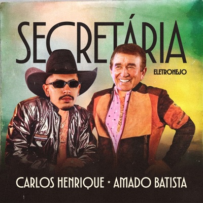 Secretaria Eletronejo - Single