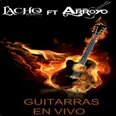 GUITARRAS EN VIVO (feat. Los Del Arroyo)