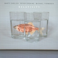 Relativity - Peter Erskine, Michael Formanek & Marty Ehrlich