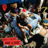 AVANT LA SAISIE cover