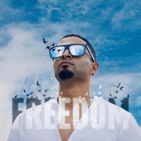 Freedom - Single - Brian Dekkers