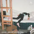 I Wish I Never Loved You