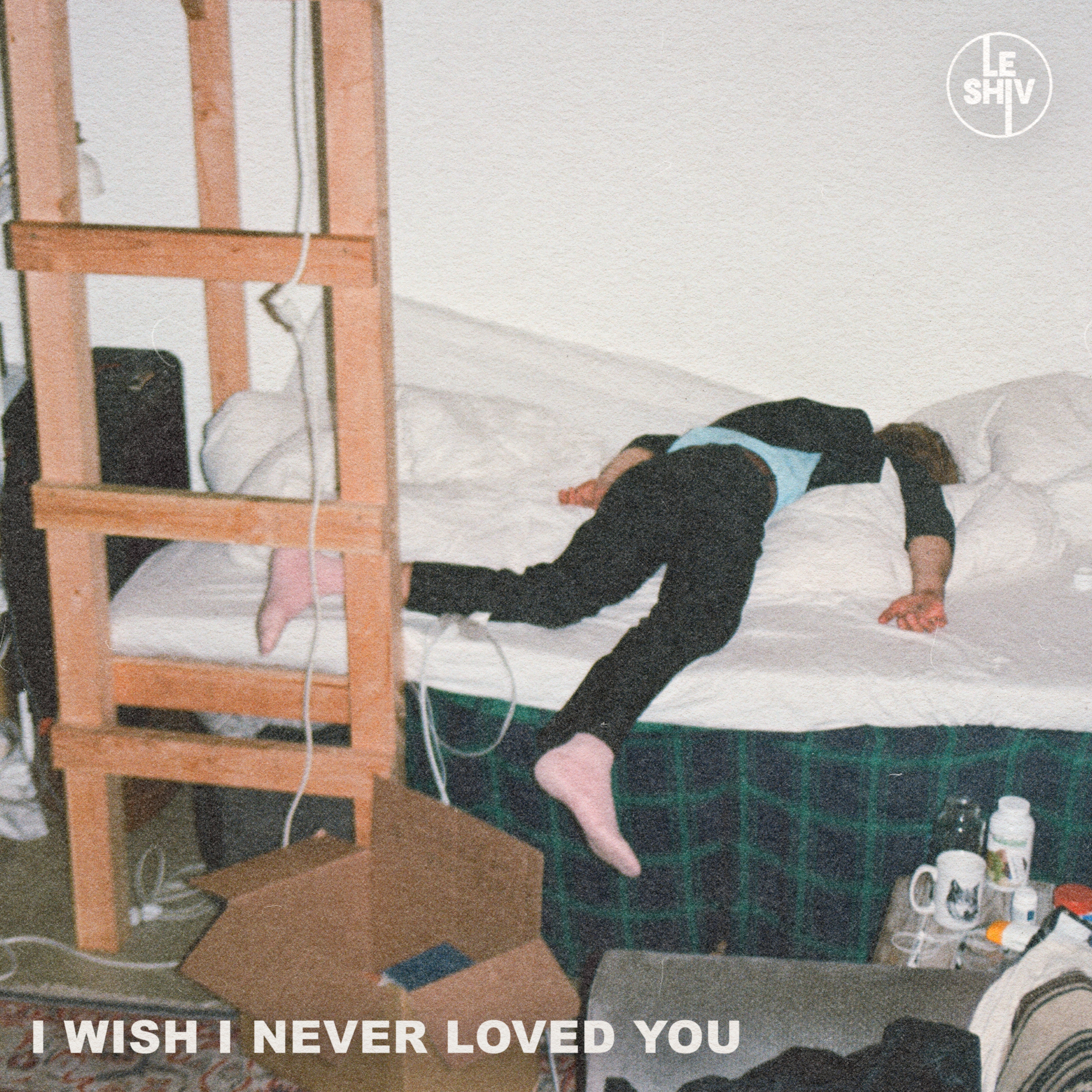 I Wish I Never Loved You - Single