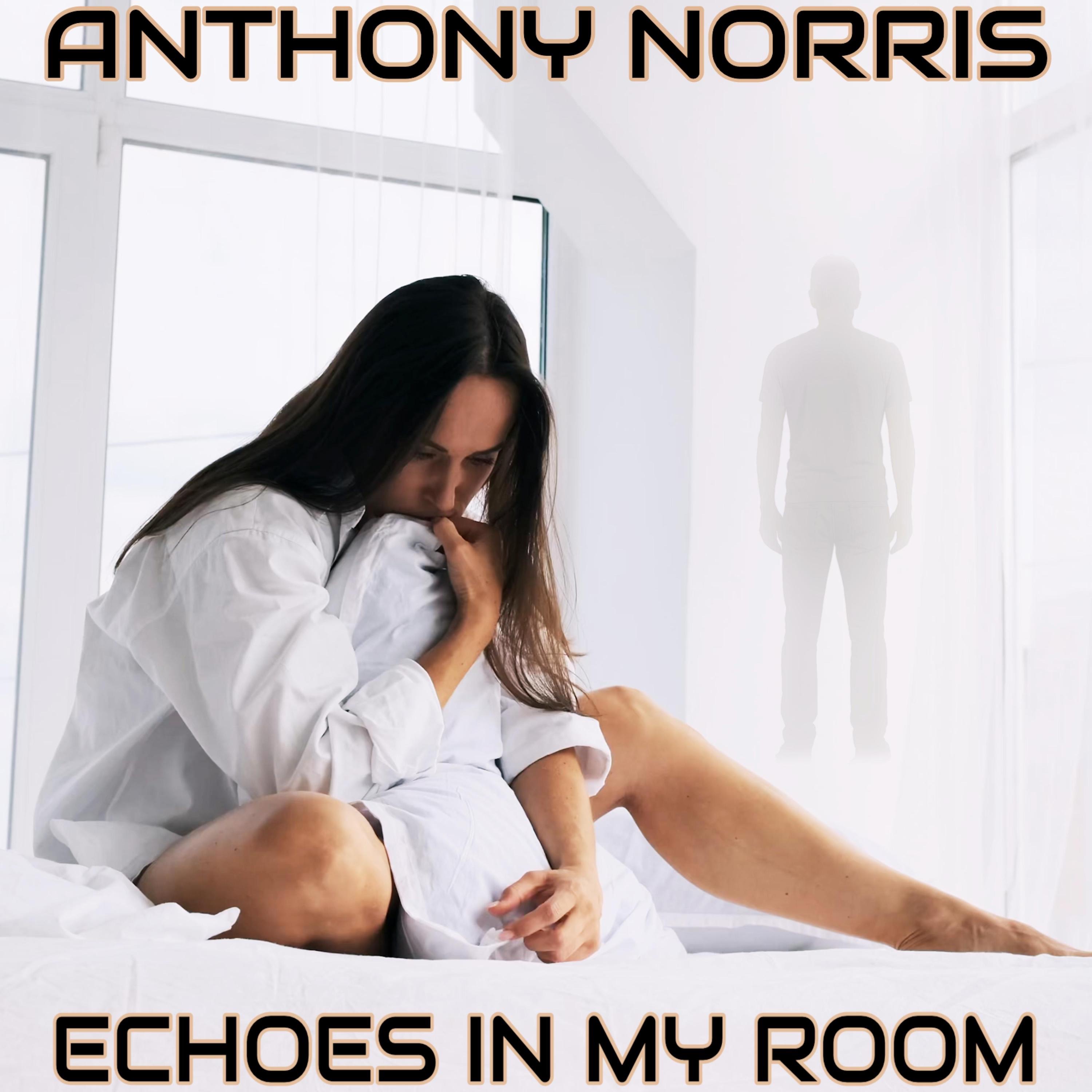 Echoes In My Room - Single