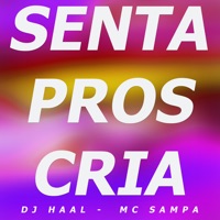 Senta Pros Cria - Single - DJ Haal & mc sampa