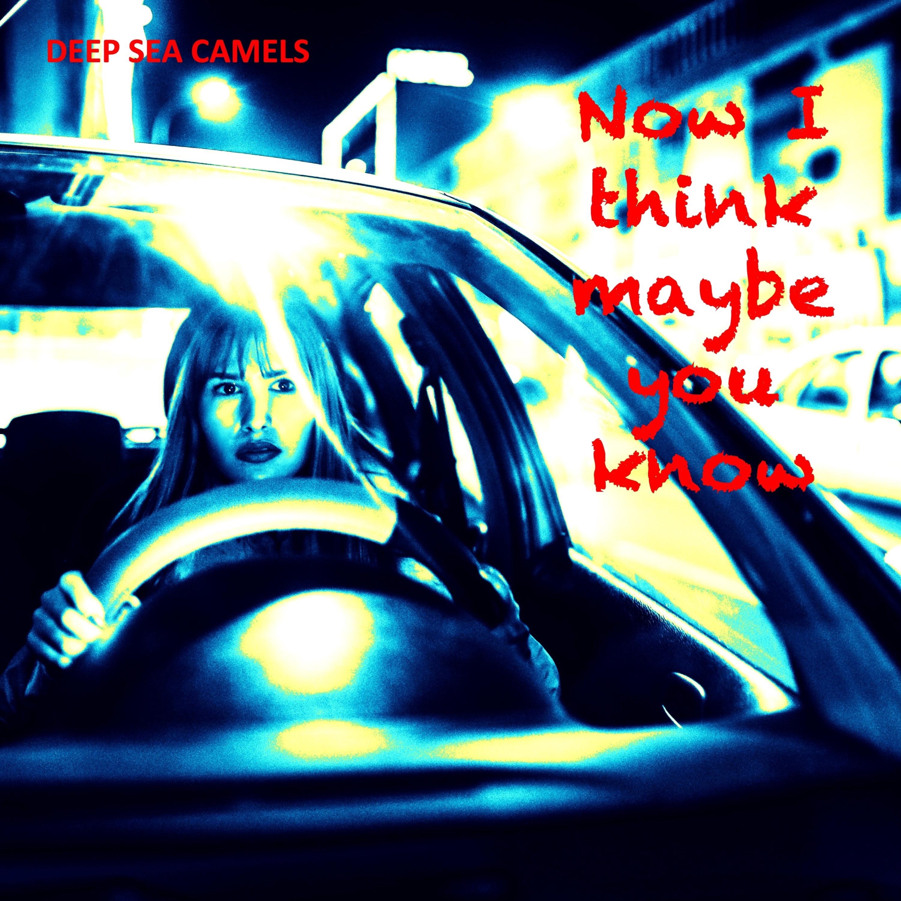 Now I Think Maybe You Know - Single