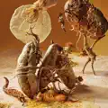Better Than To Brood
