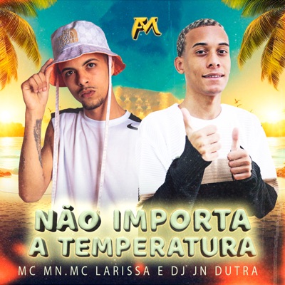 Não Importa a Temperatura - Single