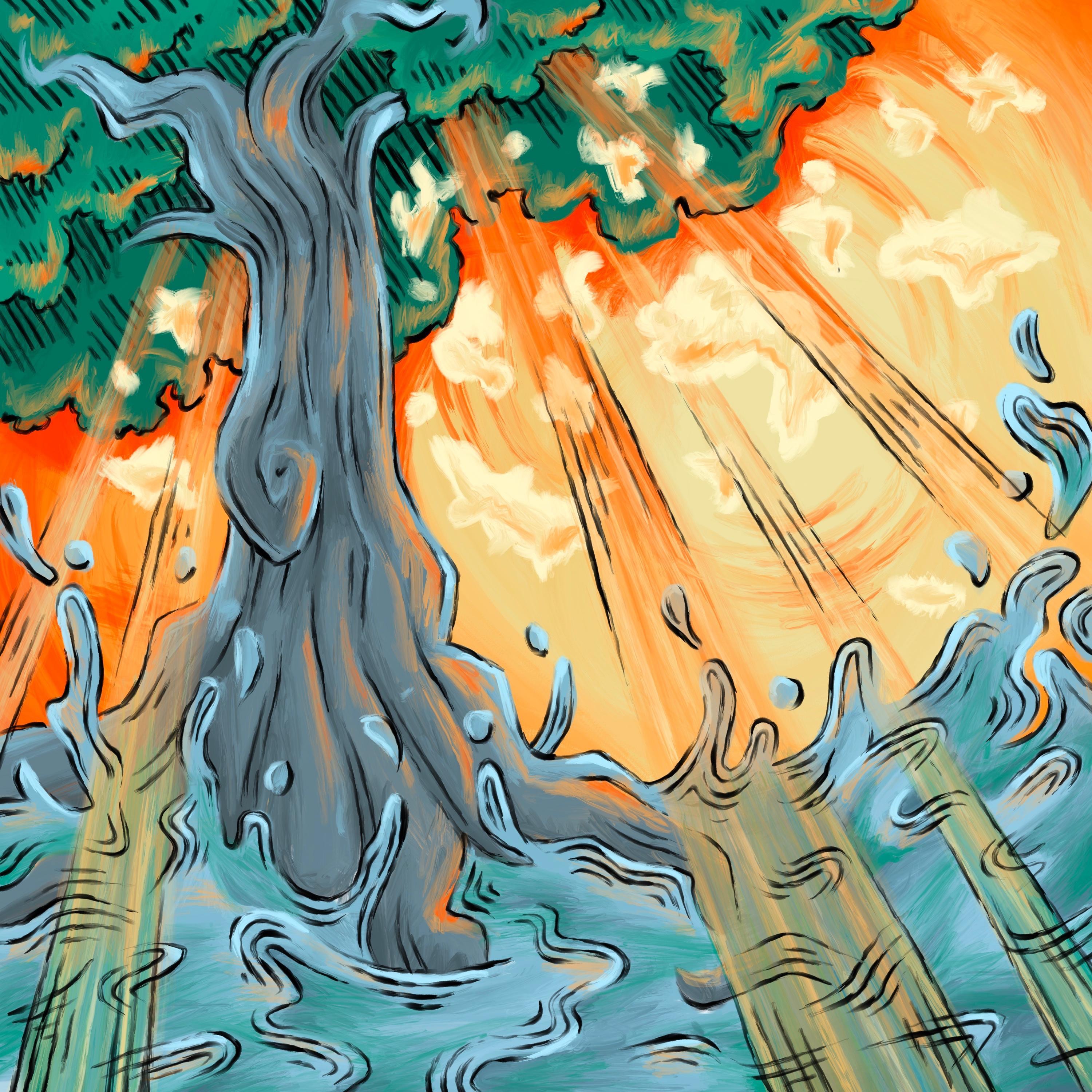 River in Spring - Single