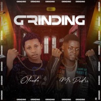 Grinding (feat. MR PEDRO) - Single - Olaeda