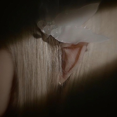 lobo-solitário - Single