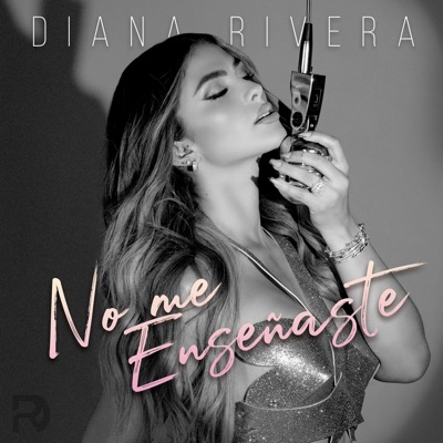 No Me Enseñaste - Single