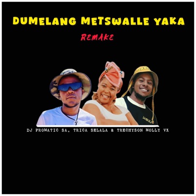Dumelang Metswalle Yaka (Remake) - Single