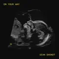 Sean Dhondt