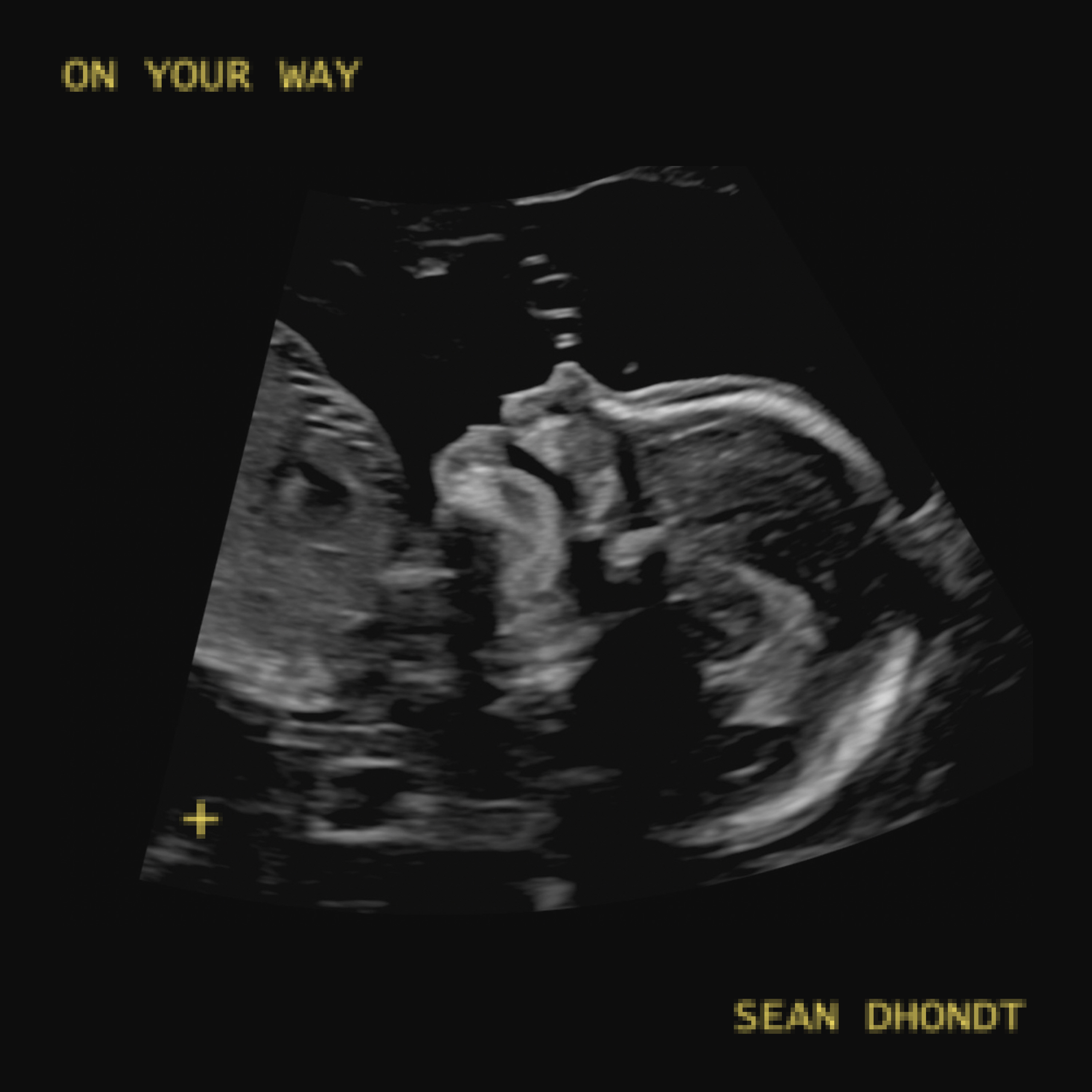 Sean Dhondt - On Your Way