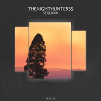 Sequoia - Single - Matthew Vertino & TheNightHunters