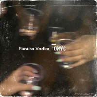 Paraiso Vodka - Single - Onyc
