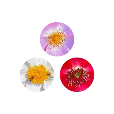 Keine Farben (feat. OTK & Milan) [Instrumental] - Single