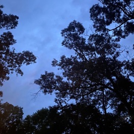 it's all over in october Lil MySpace